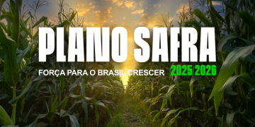 Brasil 2025: resultado positivo, crescimento sustentável e emprego e renda em alta, na cidade e no campo