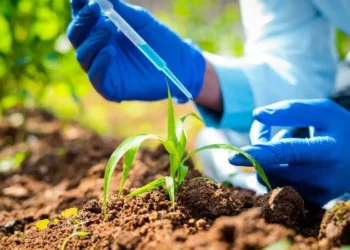 Mercado de bioinsumos deve crescer até 7% em valor de vendas em 2026